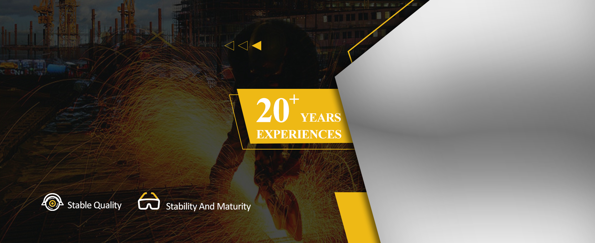 king bird 20+ years experiences